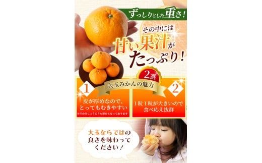 ボリューム満点！大玉  温州みかん 2kg  ※秀優混合【2L～3Lサイズ】【2025年12月から2026年２月下旬頃に順次発送】＜味好農園＞/ 温州 蜜柑 みかん 柑橘 果物 フルーツ ミカン 甘い 美味しい【agy042】