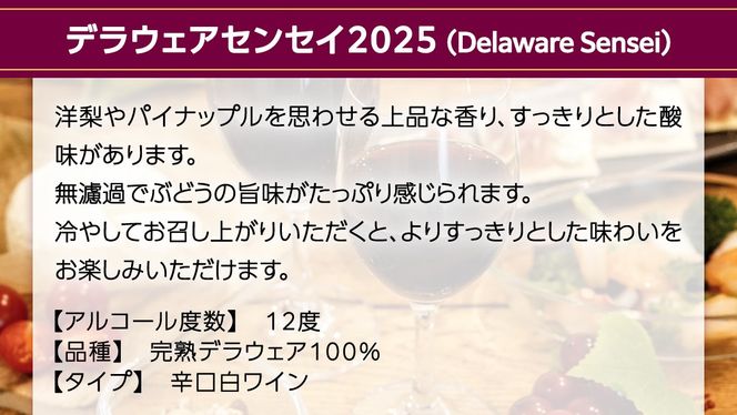 デラウェアセンセイ Delaware Sensei 2025 750ml×1本 茨城県産 牛久醸造場 日本ワイン ワイン 白ワイン 750ml ミディアムボディ お酒 贈り物 葡萄 ぶどう [BJ060us]