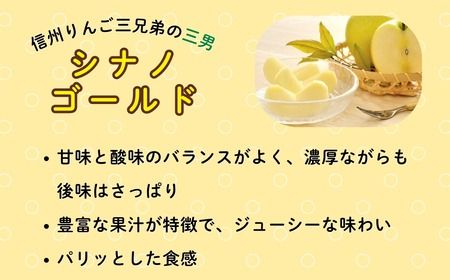 【先行予約丨2026年10月下旬より順次発送】シナノゴールド【約3kg (6〜12玉)】(At-014)丨長野県 飯山市 おすすめ ランキング おいしい 高評価 大人気 先取り 産地直送 りんご