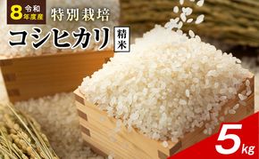令和8年産 特別栽培米 コシヒカリ 白米 5kg 静岡県産 色彩選別済 食に意識高い方へオススメ
