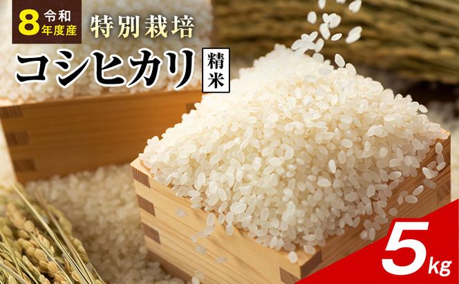 令和8年産 特別栽培米 コシヒカリ 白米 5kg 静岡県産 色彩選別済 食に意識高い方へオススメ
