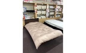 コットンの王様・エジプト綿入り「究極の掛ふとん」（ローズピンク）【CW25W】