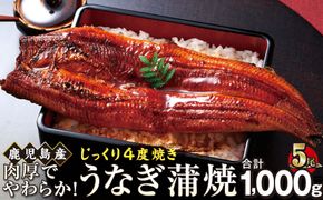 うなぎ 蒲焼 200g×5尾【鹿児島産】地下水で育てた絶品鰻 464686_AQ128