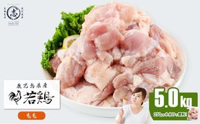 小分けで便利！鹿児島県産若鶏もも肉切身 計5kg(250g×20P) a9-048