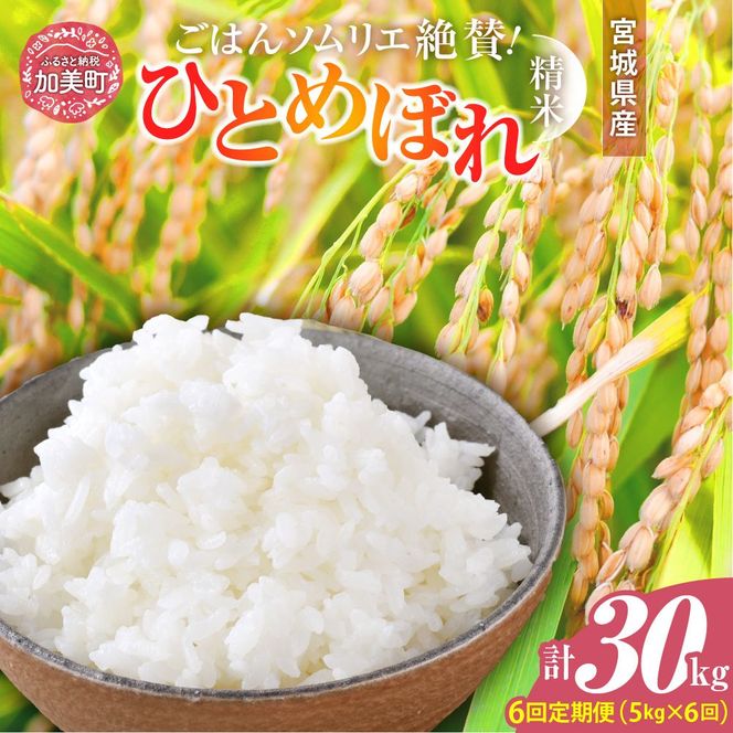 【6回定期便】 精米 令和7年産 宮城県産ひとめぼれ 計30kg (5kg×6回) [菅原商店 宮城県 加美町 ]  |sg-hb05-t6-r7