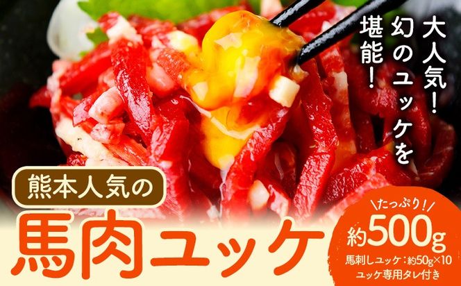 馬刺し 熊本 人気の 馬肉ユッケ たっぷり 500g 株式会社利他フーズ《30日以内に出荷予定(土日祝除く)》 ユッケ 海外産 国内肥育 冷凍 生食用 肉 馬肉 ふるさと納税馬刺し 熊本県 南阿蘇村 送料無料 馬刺 ばさし 名物---isms_rita03_30d_r7_21000---