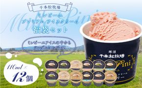 ns025-014-12 福袋セット（ミレピーニアイス12個セット）【千本松牧場】