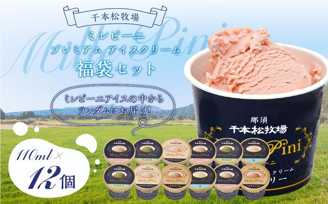 ns025-014-12 福袋セット（ミレピーニアイス12個セット）【千本松牧場】
