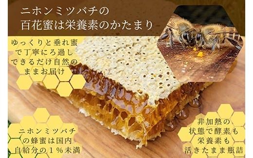 京都産 生はちみつ食べ比べ3点セット（プレーン/いちご/カカオ）食品 ハニー ハチミツ ギフト プレゼント ニホンミツバチ 瓶詰 天然 RAW HONEY 国産 非加熱 純粋 蜂蜜