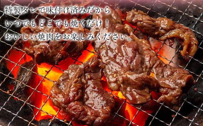 【6か月定期便】牛サガリ味つき焼肉用 500g (250g×2)  MROBM026