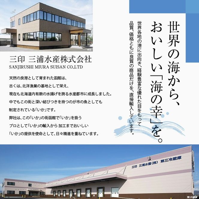 いかそーめん 1kg（8柵 500g ×2）_HD227-001