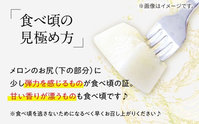 【2026年5月〜発送】訳あり メロン イエローキング 1箱 5kg以内 （3～6玉）/ メロン めろん フルーツ 果物 / 南島原市 / 南島原果物屋[SCV042]