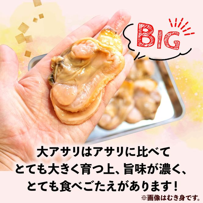 【限定寄附額】 大アサリ 半割 約1kg おおあさり