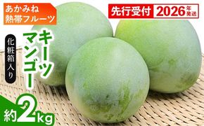 【化粧箱入】【先行受付・2026年発送】あかみね熱帯フルーツのキーツマンゴー約2kg - 先行予約 沖縄県産 産地直送 南国フルーツ 旬の味覚 季節の果物 希少種 化粧箱 ギフト 沖縄県 八重瀬町