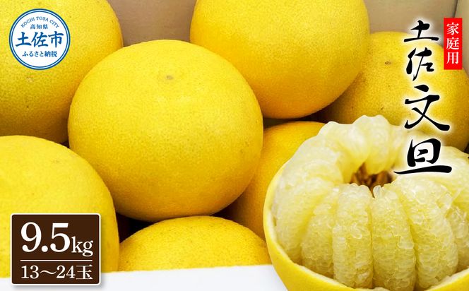 【先行予約】生産者直送 土佐文旦 約9.5kg [2L～4L] 家庭用 ＜2027年1月下旬より発送＞ 家庭用 文旦 柑橘 みかん フルーツ 果物  産地直送 お取り寄せ 人気 【土佐文旦産直協同組合】