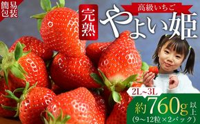 ＜高級いちご「やよい姫」（9～12粒×2パック 合計約760g以上）簡易包装＞2025年1月上旬から4月末迄に順次出荷【 簡易包装 ご家庭用 イチゴ 苺 先行予約 甘い 果物 フルーツ 季節物 お祝い お返し サンクール・スマイルファーム 】【b0853_sn】