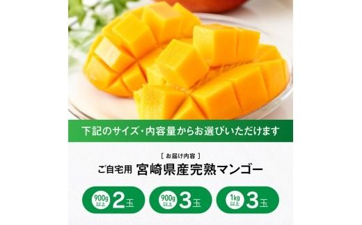 ※選べる内容量※ 【令和9年発送】ご自宅用宮崎県産完熟マンゴー 【 果物 フルーツ マンゴー 宮崎県産 完熟マンゴー みやざきマンゴー 先行予約 】 [B03220 B03221 B03222]