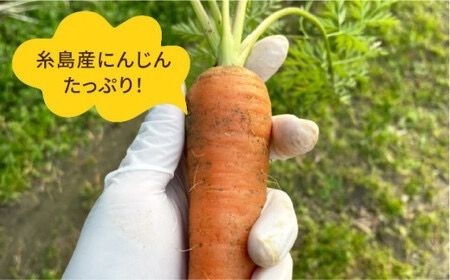 【全3回定期便】糸島 そだち の にんじん 生 ドレッシング （ 285ml × 1本 ）《糸島》 【農香美人】 [AAG048] ドレッシング ボトル 栽培期間中 農薬不使用 野菜 にんじん 糸島 定期便