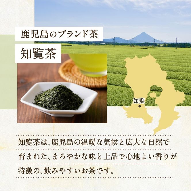 【5営業日以内に発送】知覧茶さえみどり3袋セット　K111-005