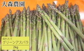 [先行受付] 北海道 仁木町産 グリーンアスパラ 2kg アスパラ 野菜 新鮮 食材 春野菜 旬の野菜 北海道産 北海道野菜 国産 日本産 [大森農園]