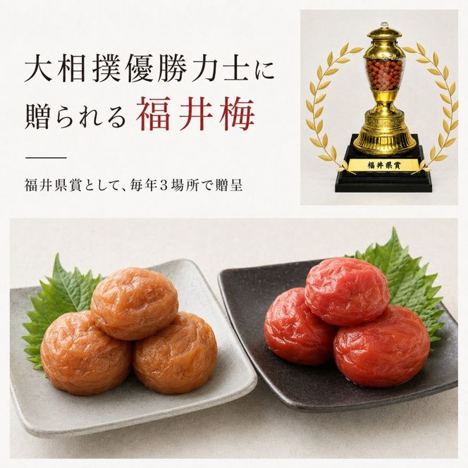 【ふるさと納税】梅干し 梅風韻 しそ 選べる容量 うすしお しそ漬 食べ比べ 紅映梅 福井梅 うめぼし 梅 ご飯のお供 おにぎり 福井県産 福井県　若狭町