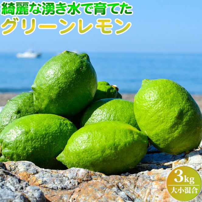 EA6043n_【2026年先行予約】綺麗な湧き水で育てた グリーンレモン 3kg (大小混合)