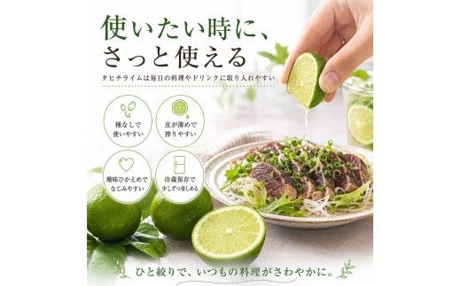 訳あり タヒチライム 約1.6kg ライム サイズおまかせ 国産 種なし 柑橘類 かんきつ類 防腐剤不使用 ノーワックス 新鮮 冷蔵 家庭用 果物 くだもの フルーツ 秋 旬 ジュース カクテル ジンライム 料理 アレンジ 爽やか 芸西村 高知県産