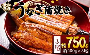 国産蒲焼きうなぎ ２５０ｇ ３尾 計７５０g fb-0168