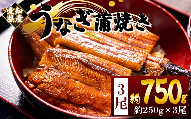 国産蒲焼きうなぎ ２５０ｇ ３尾 計７５０g fb-0168