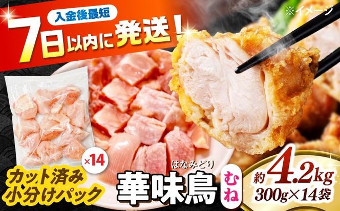 y茧쓇szؖ ނ˓ 4.2kgi300g×14܁j Jbgς 쓇Y /@{  Ƃ l {ނ˓ Ⓚ e / 쓇s / ГnuC[[SFS008]