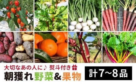 旬 野菜 + プレミアム 野菜 + 果物 ( 合計7〜8品 )セット[熨斗付き][糸島][オーガニックナガミツファーム] [AGE022] 野菜 やさい 詰め合わせ 旬 ギフト 贈り物 贈答 のし プレゼント 野菜 野菜やさい 野菜詰め合わせ 野菜旬 野菜季節 野菜朝採れ 野菜畑直送 野菜ギフト 野菜贈り物 野菜贈答 野菜のし 野菜プレゼント