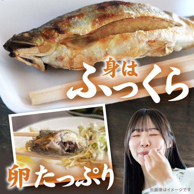【先行予約】2026年10月下旬より発送開始【冷蔵】子持ち鮎約2.5kg N070-YC425-1