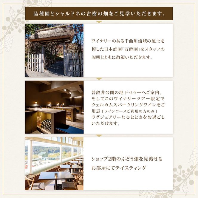 マンズワイン ワイナリーツアー 地下セラー試飲コース 1名様分