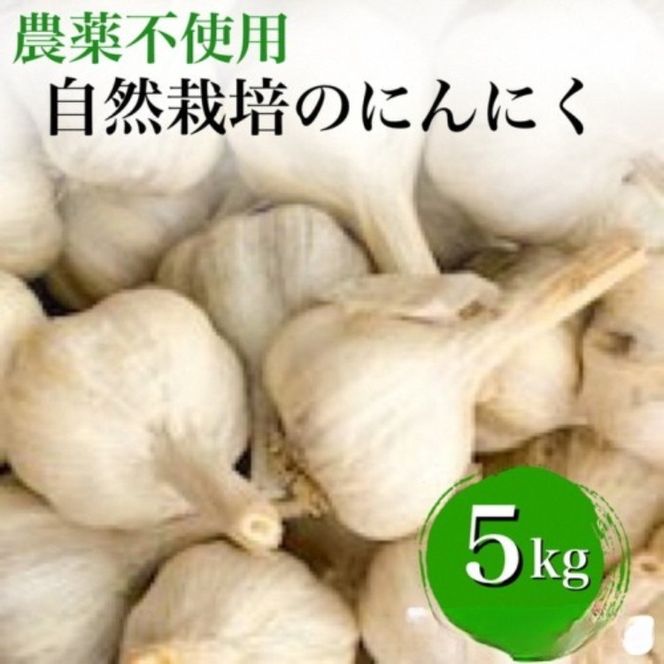 【2026年産 予約】にんにく 5kg 京都府・亀岡産 自然栽培のかたもとオーガニックファームよりお届け ※離島への発送不可 ※2026年6月下旬～10月下旬頃より順次発送予定に順次発送予定