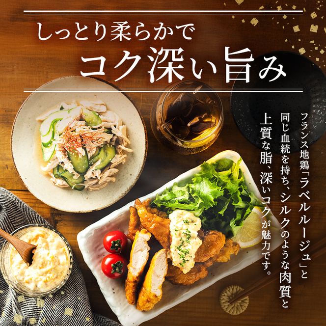6ヶ月 定期便 地鶏 丹波 黒どり ササミ 2kg 鶏肉 冷凍 丹波山本 高タンパク低カロリー たんぱく質 ボリューム 筋トレ チキン 蒸し鶏 