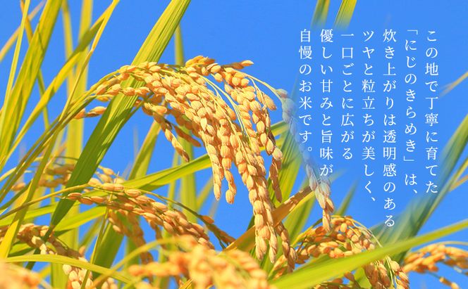 お米 にじのきらめき 5kg 米 コメ にじのきらめき 精米 白米 透明感 優しい甘み 旨味 卵かけご飯 塩むすび 袋井市 静岡県