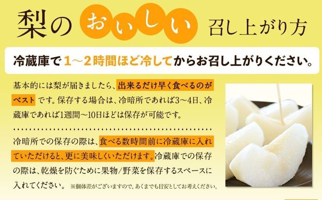 【ふるプレ限定品】 訳あり 旬の梨 約2kg 2～5玉 《9月上旬-1月上旬頃発送》岡山県産 新高梨 愛宕梨---yakage_loc_20_p---