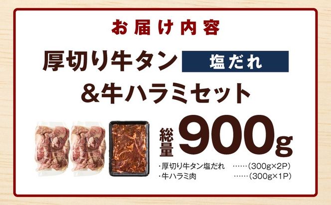G4710  厚切り牛タン 秘伝の塩だれ 600g ＆牛ハラミ肉 300g 合計900g【牛肉 はらみ 牛タン 牛たん 厚切り牛タン 焼肉 BBQ キャンプ アウトドア 焼くだけ 訳あり サイズ不揃い 小分け】