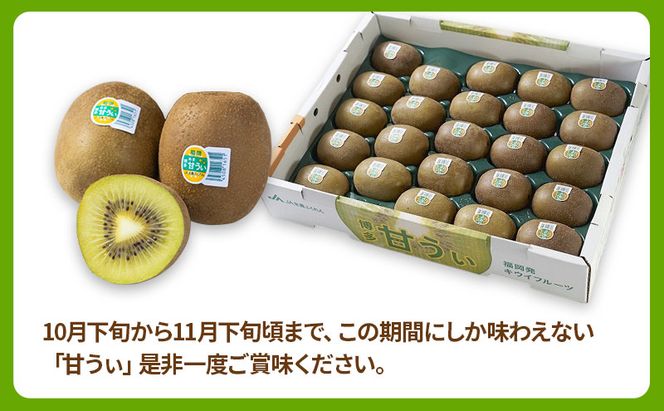 キウイ 福岡限定! ブランドキウイ「甘うぃ(あまうぃ)」 約3kg箱(24-30玉) フルーツ 果物 ※配送不可:離島