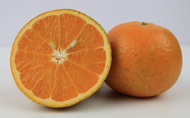 【2027年発送】大宜味村 たんかん 約10kg 沖縄 おきなわ 大宜味村 果物 くだもの 果実 タンカン オレンジ みかん 柑橘 フルーツ お取り寄せ 人気 ふるさと納税 送料無料 国産 県産 ご当地 やんばる 先行予約