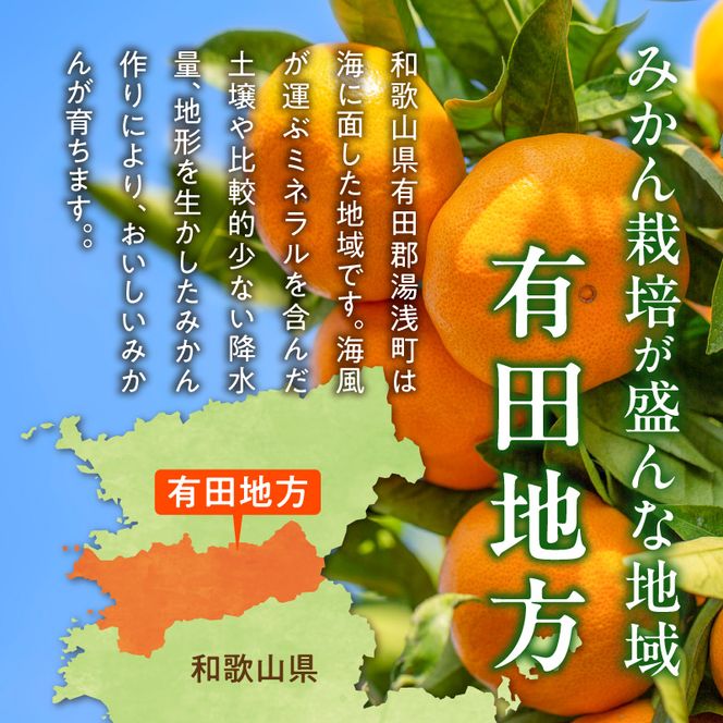 【3回定期便】【2026年先行予約】【ご家庭用】旨味凝縮有田みかん 約5kg（SS・Sサイズ）【湯浅町】_AT60-T01