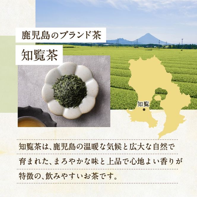 【5営業日以内に発送】知覧茶やぶきた8袋セット　K111-013