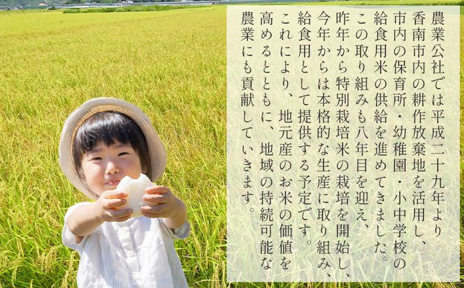 【２回定期便】高知県香南市産 特別栽培米 コシヒカリ 10ｋｇ Wnu-0008