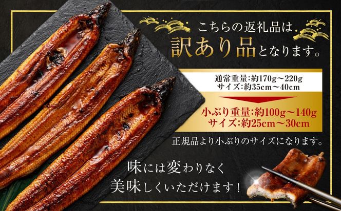 【数量限定】 【訳あり】 【ミシュラン星付きのプロが愛用】海水育ちの 天草 藍うなぎ 小ぶり 蒲焼 500g（4～5尾）  養殖期間中 無投薬 鰻 ウナギ うなぎ うなぎ蒲焼 鰻の蒲焼 国産