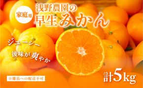 【先行予約】浅野農園の早生みかん 家庭用計5kg ※着日指定不可 ※離島への配送不可（2026年11月上旬～11月中旬頃に順次発送予定）IKTAC002