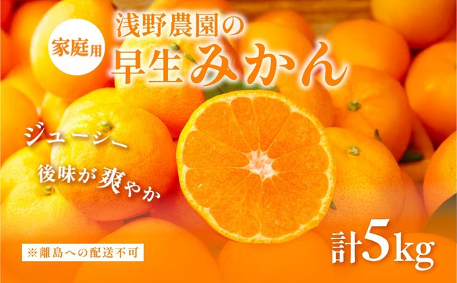 【先行予約】浅野農園の早生みかん 家庭用計5kg ※着日指定不可 ※離島への配送不可（2026年11月上旬～11月中旬頃に順次発送予定）IKTAC002