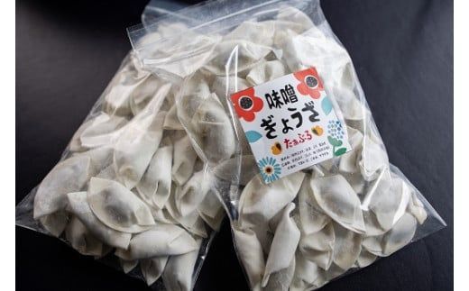 居酒屋のおかあちゃん手作り ひと口味噌ぎょうざ 100個(20個×5袋) H136-052