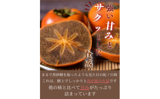 紀ノ川柿  約3kg2L~4L(サイズおまかせ) 秀品 / カキ 甘い 美味しい 紀美野町産 ※2026年10月中旬～11月上旬に順次発送 【frt504-r-kino-3】