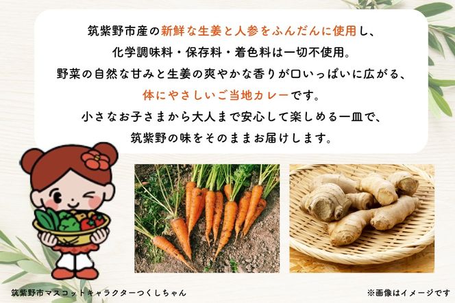 カレー レトルト つくしちゃんカレー 10袋 [エニクック 福岡県 筑紫野市 21761458] カレーライス ビーフカレー 常温保存