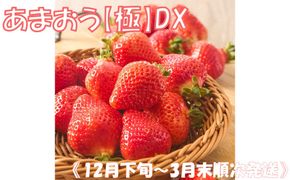 《12月下旬～3月末順次発送》あまおう【極】DX【とまとのまつお】_AS2156-00 いちご あまおう デラックス 福岡県宗像市 宗像市 福岡 宗像